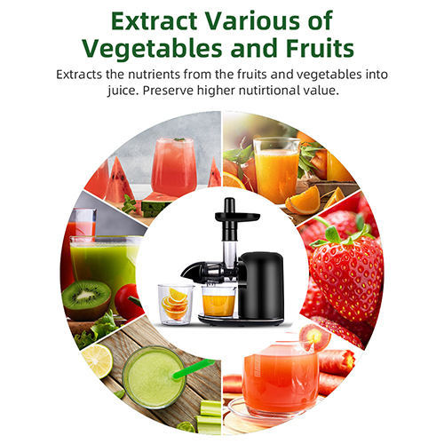 Cold Press Juicer Extract various fruit nutrients