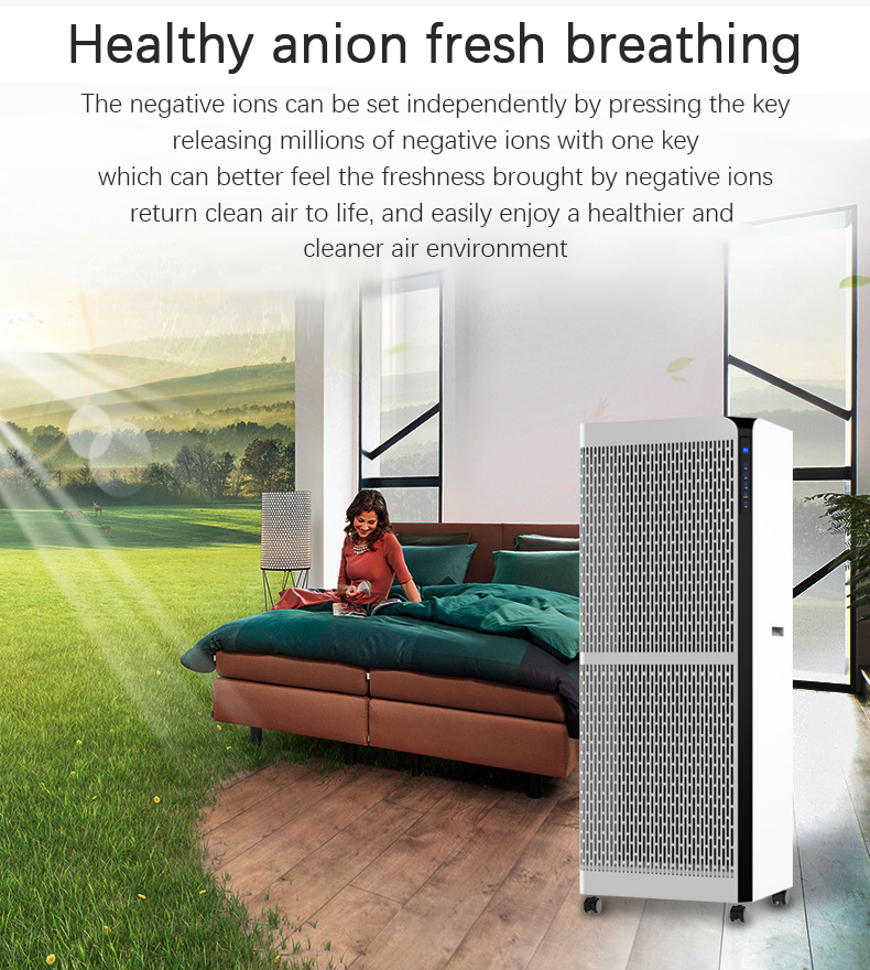 Healthy negative ion air purifier