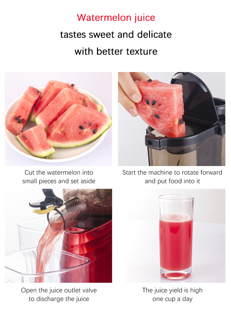 Multi functional fruit juicer