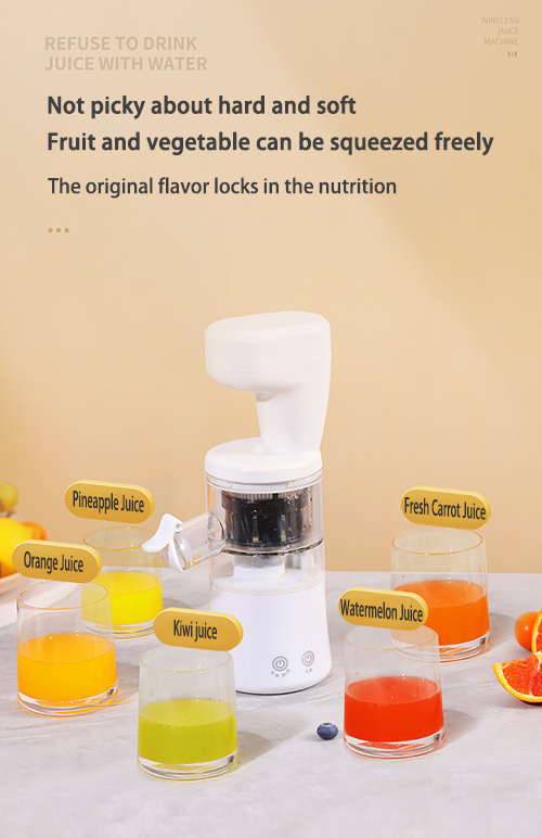 Rechargeable Juicer Machine 10