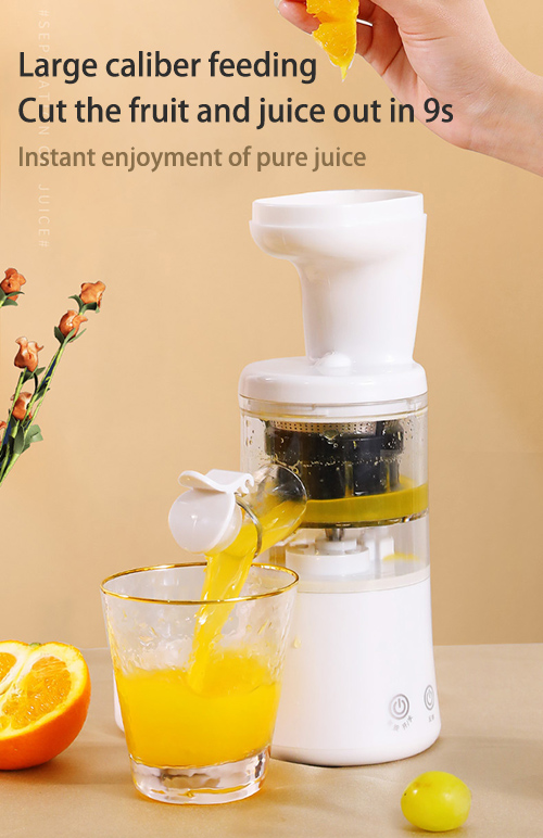 Rechargeable Juicer Machine 3